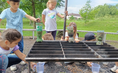 Projekt „Wasser“